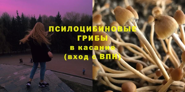 не бодяженный Абдулино
