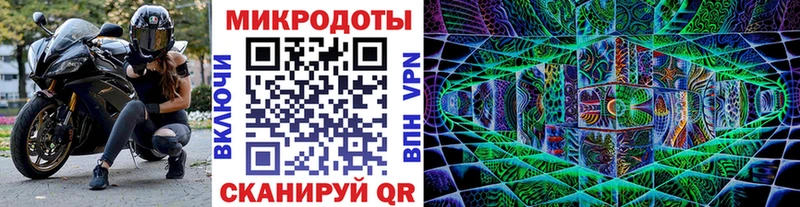 купить наркотики сайты  Грозный  гидра ссылка  Галлюциногенные грибы мухоморы 